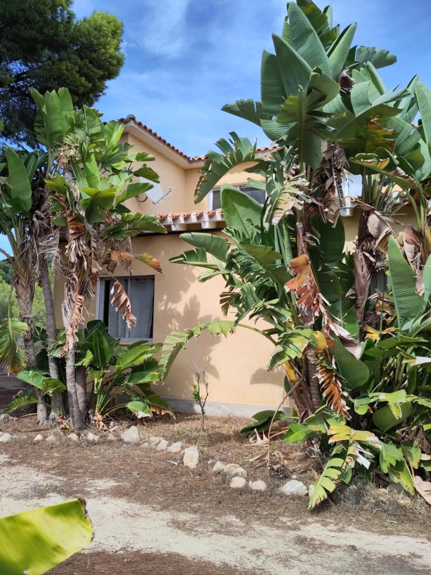 Finca Caracol Bolulla Exterior photo